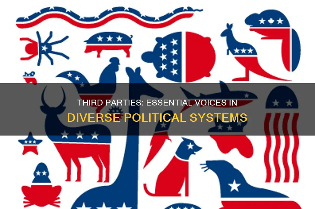 why are the third parties important in a political system