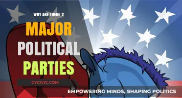 The Duopoly Dilemma: Understanding America's Two-Party Political System