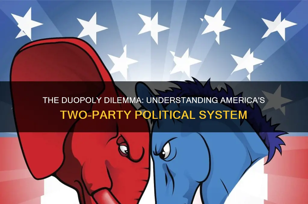 why are there 2 major political parties