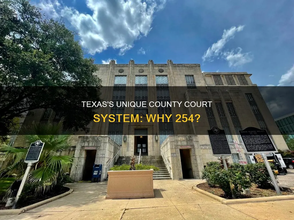 why are there 254 constitutional county courts in texas