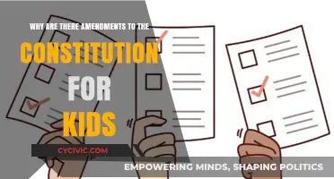 How Our Constitution Evolves and Adapts