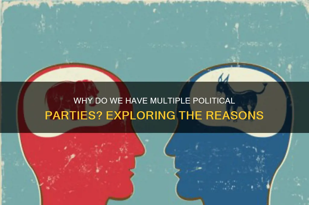 why are there different political parties