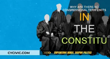 The Constitution's Missing Term Limits: Why?
