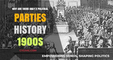 The Duopoly Dilemma: How Two Parties Dominated 1900s American Politics