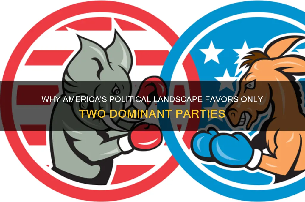 why are there only two viable political parties