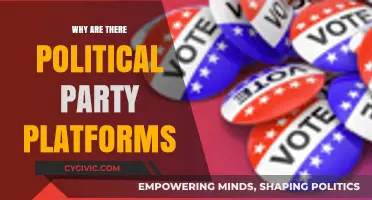 Understanding Political Party Platforms: Their Purpose and Impact on Governance