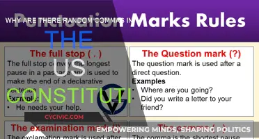 The Mystery of the Constitution's Random Commas