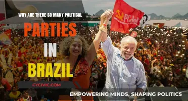 Brazil's Political Mosaic: Understanding the Proliferation of Parties