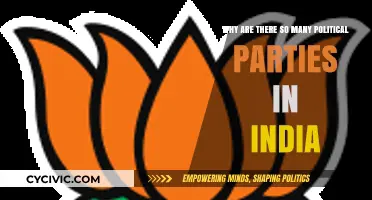 India's Political Mosaic: Understanding the Proliferation of Parties
