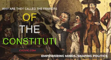 The Framers: Constitution and Democracy Architects