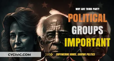 Why Third Party Political Groups Matter in Modern Democracy