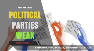 Why Third Political Parties Struggle to Gain Power and Influence