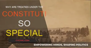 Treaties: The Constitution's Special Legal Force