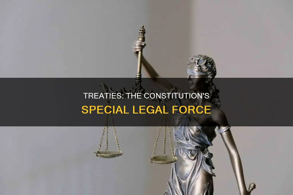 why are treaties under the constitution so special