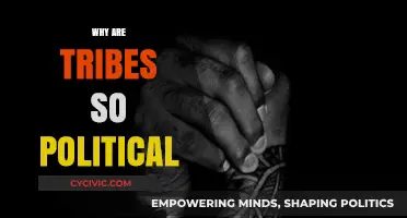 Tribal Politics: Unraveling the Intricate Dynamics of Community Power Struggles