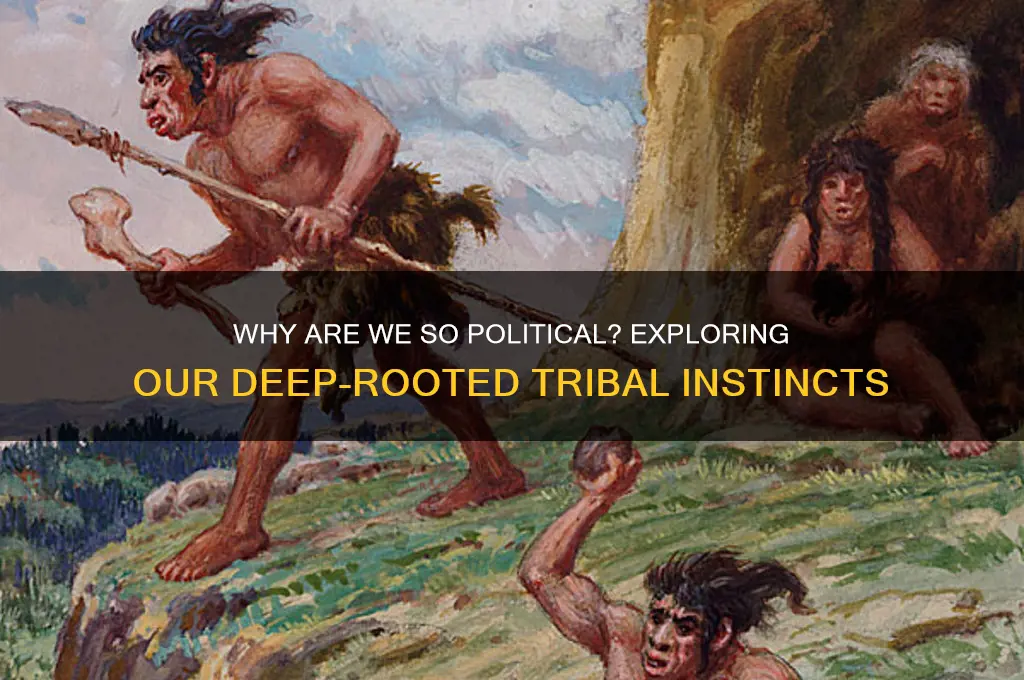 why are we so political