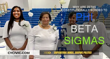 The Bond Between Zetas and Phi Beta Sigmas