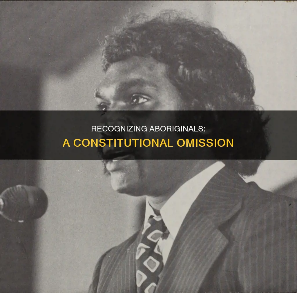 why aren t aboriginals recognised in the constitution