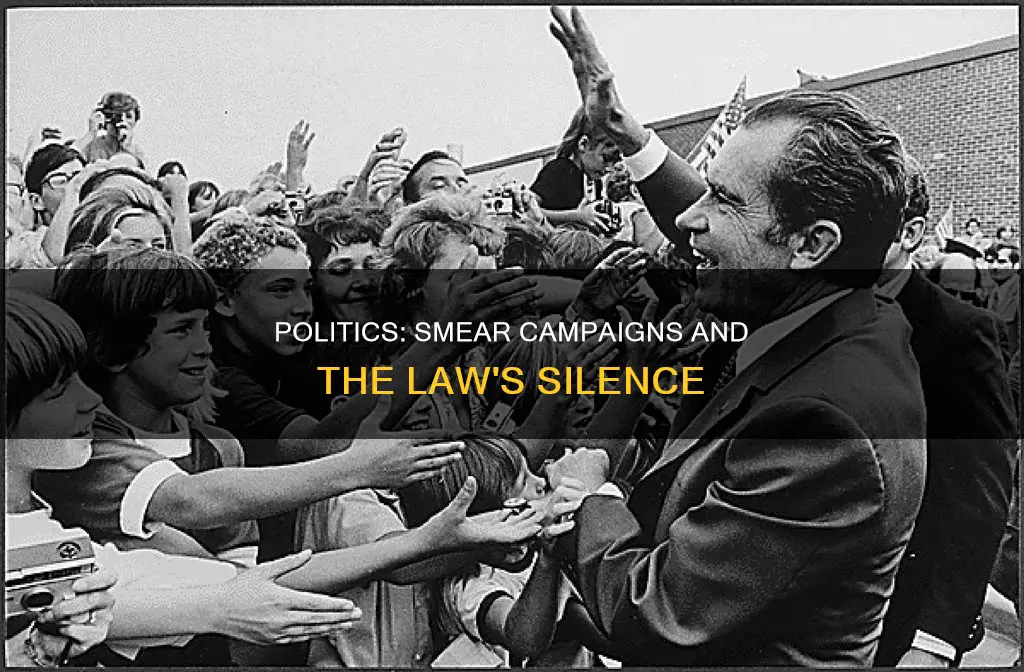 why arent there laws against smear campaigns in politics