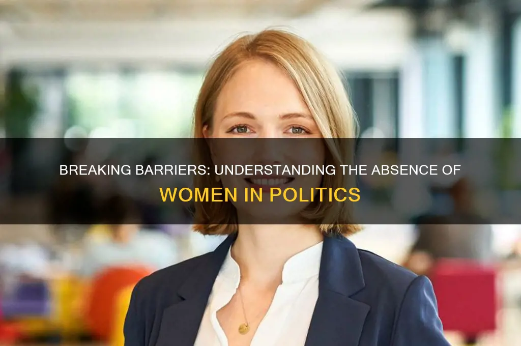 why arent women in politics