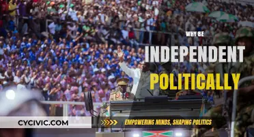 Embracing Political Independence: Empowering Nations, Fostering Global Autonomy and Sovereignty