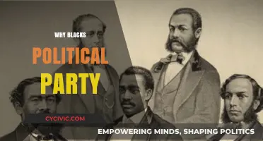 Why a Black Political Party is Essential for Representation and Power