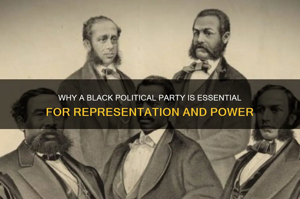 why blacks political party