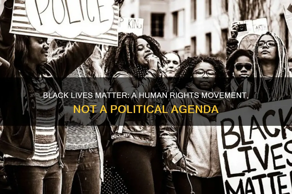 why blm is not political