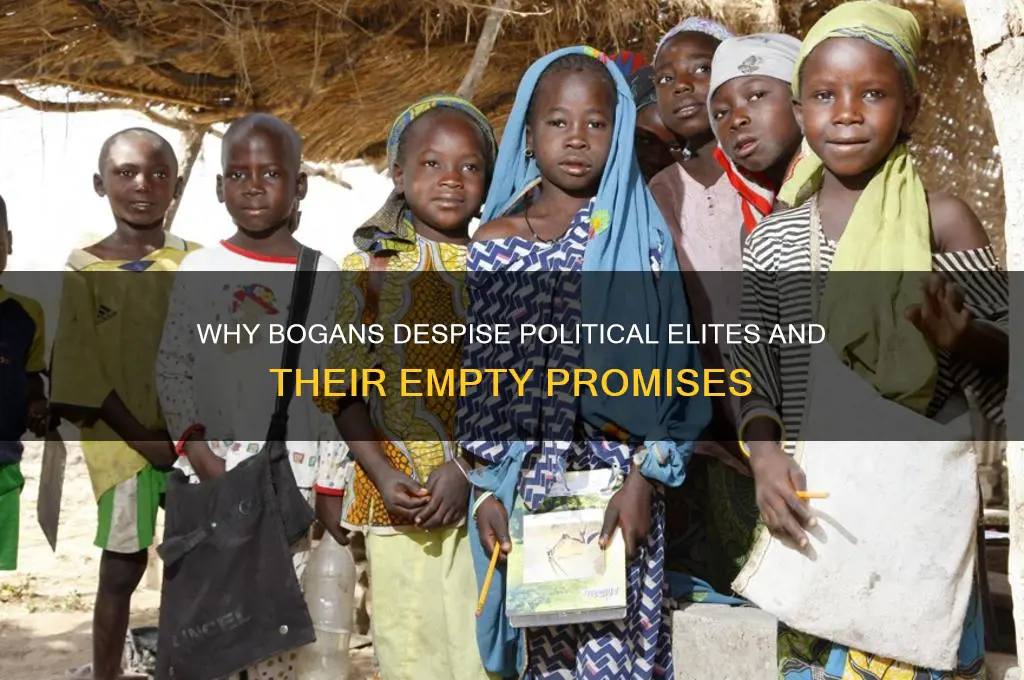 why bogans hate politics