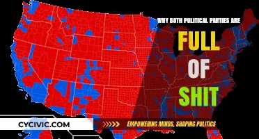 Political Parties: A Two-Sided Coin of Empty Promises and Failures