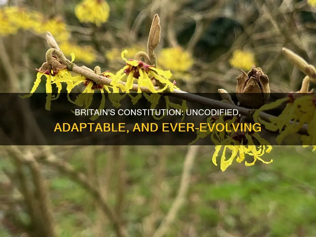 why britain should not have a codified constitution