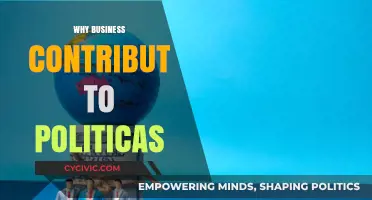 Why Businesses Contribute to Politics: Power, Influence, and Strategic Interests
