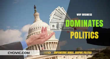 Corporate Power: How Business Interests Shape Political Landscapes Globally