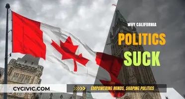 California's Political Chaos: Unraveling the Dysfunction Behind the Golden State's Struggles