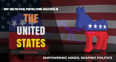 Why Political Coalitions Rarely Form in U.S. Politics