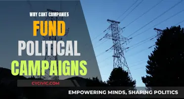 Funding Political Campaigns: Why Companies Should Stay Away