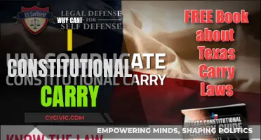 The Right to Bear Arms: Examining Constitutional Carry