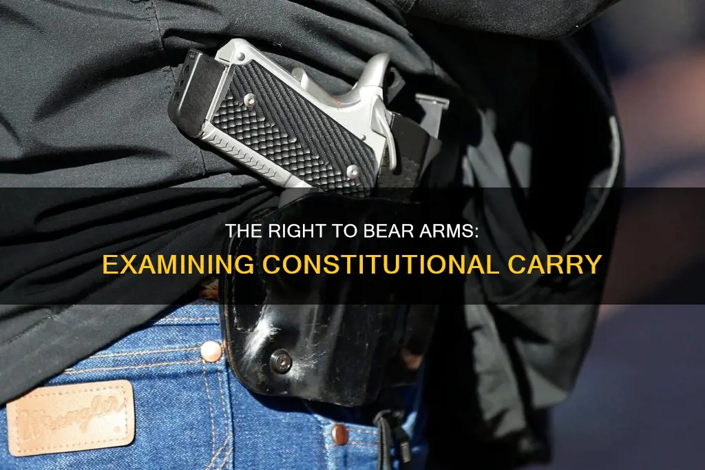 why cant i constitutionally carry