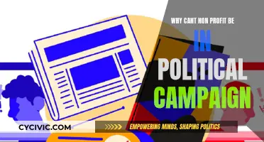 Non-profits: Stay Out of Political Campaigns!