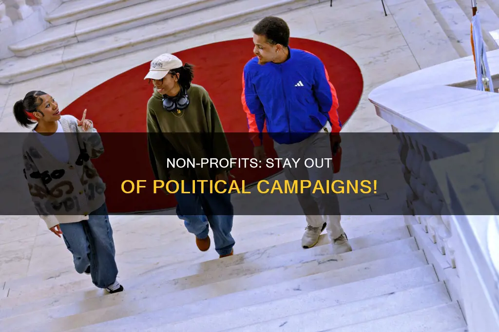 why cant non profit be in political campaign