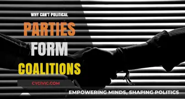 Why Political Parties Struggle to Form Lasting Coalitions: Key Barriers