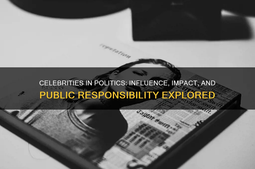 why celebrities wade into politics