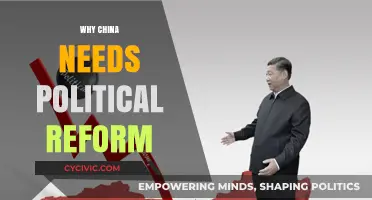 China's Future Hinges on Political Reform: Why It's Necessary