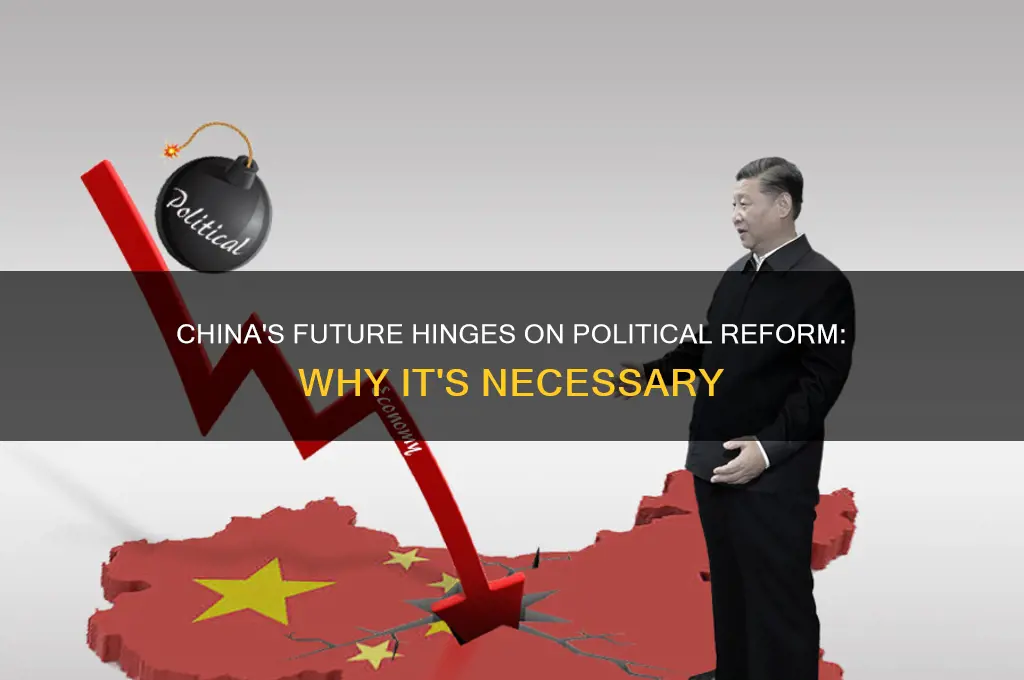 why china needs political reform