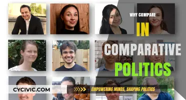 Comparative Politics: Unlocking Insights Through Strategic Cross-Country Analysis