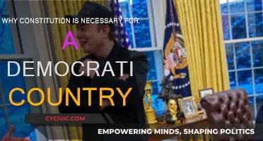 The Constitution: Democracy's Foundation and Safeguard