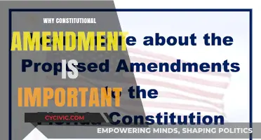 Amending the Constitution: Our Living, Breathing Document