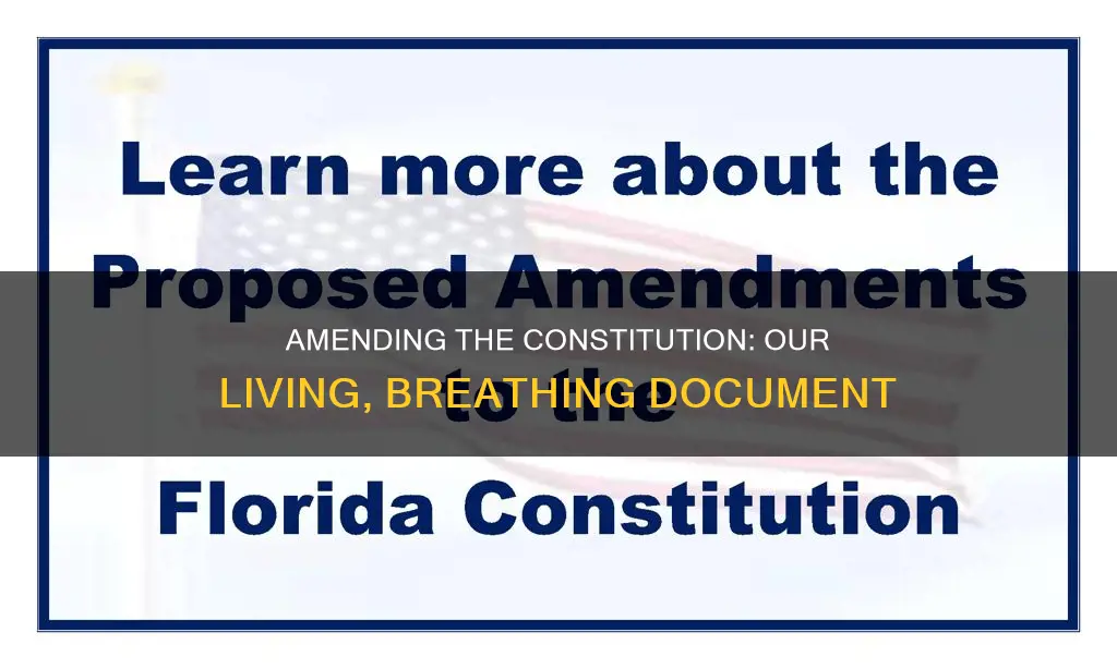 why constitutional amendment is important