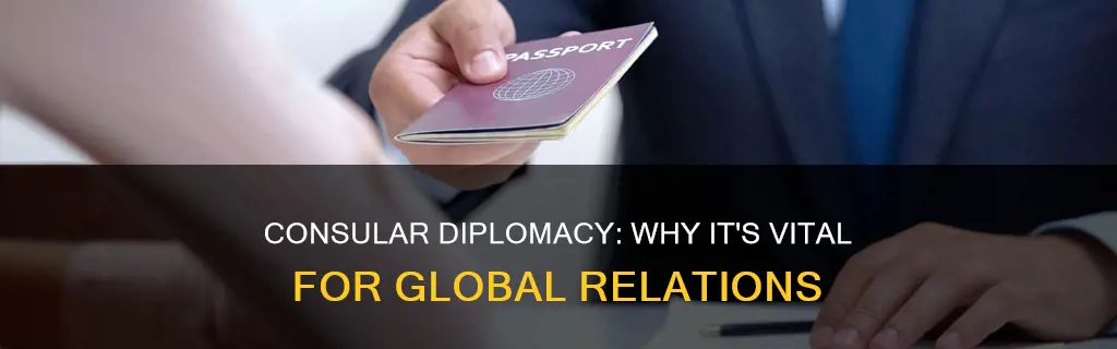 why consular diplomacy matters