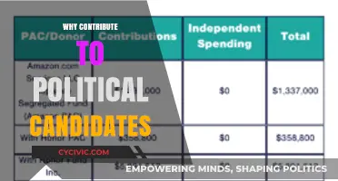 Supporting Political Candidates: Empowering Democracy Through Your Contributions